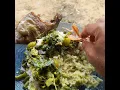 Download Lagu makan nasi kuwah plik u