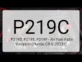 DTC P219C P219D P219E P219F - Air Fuel Ratio Variation Honda CR-V 2023