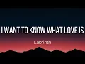 Labrinth - I Want to Know What Love is (Lyrics)