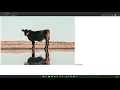 Angular Carousel Attempt