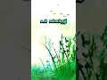 Download Lagu Enna Nenacha 🌿#tamilsonglyrics #unnikrishnan #anurathasriram #vijaykanth #devamusic #deva