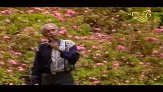 محمد سعد عبدالله غزال البيد يا شارد 