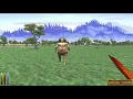 Daggerfall Unity Combat