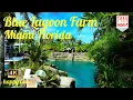 blue Lagoon farm beautiful place in Homestead miami florida a place to have fun and relax