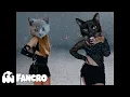 Download Lagu KAROL G, Shakira - TQG (Cover Gatos)