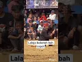 Download Lagu Bobotoh domba Garut bah cepot#dombagarut #viralvideo