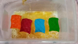 asmr vileda kitchen sponges dt pine