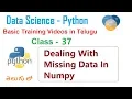 Dealing with Missing Data in Numpy in Telugu Deal with missing data using numpy VLR Class 37