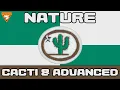 Cacti and Cacti Advanced Pathfinder Honor