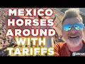 Lagu Mexico Horses Around with Tariffs || Peter Zeihan