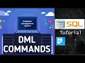 3 dml commands in sql insert update select delete
