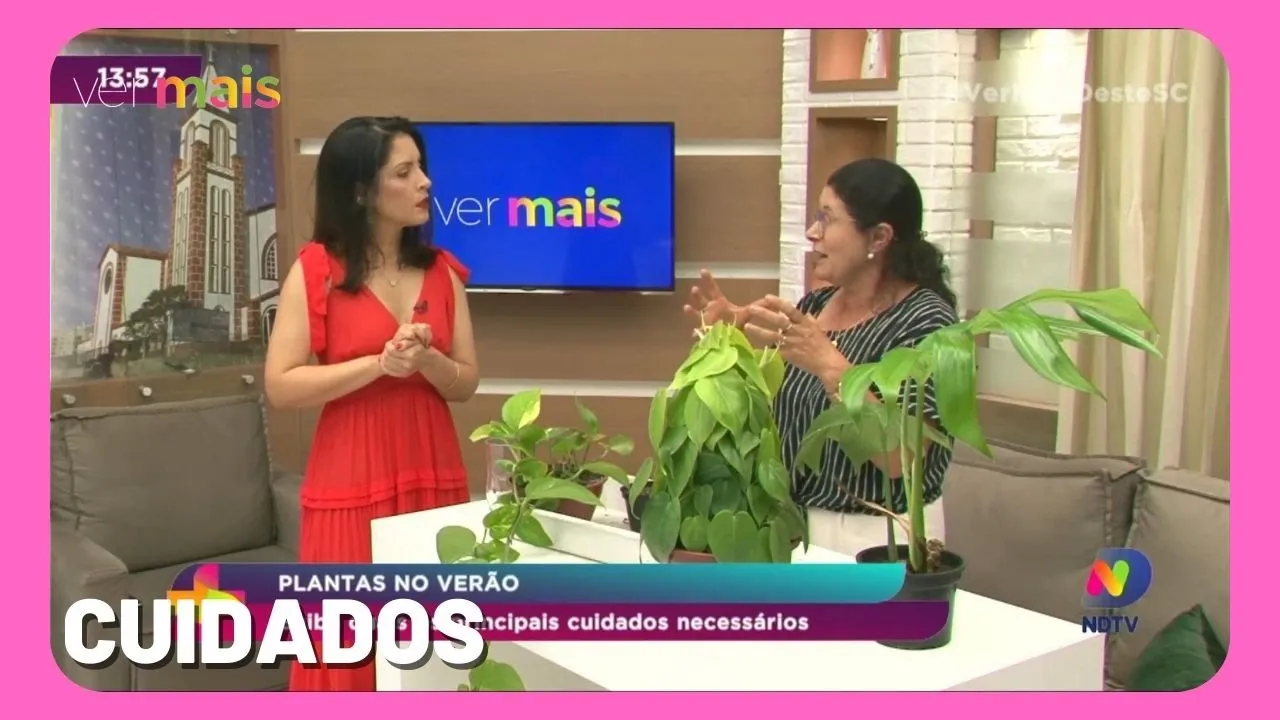 Saiba quais os principais cuidados necessários com as plantas no verão