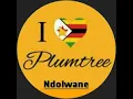 Download Lagu Ndolwane Super Sound -SIBONGILE