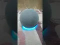 Download Lagu alexa echo dot 4th generation