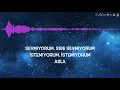 (Lyrics) Patron - Seni Sevmiyorum (Şarkı Sözleri) + Equalizer