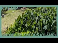 Mo olelo With Kahaku Uncle Henry History of the Aina Land