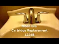 Moen Faucet Leak Fix Made Easy and Free