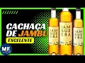 Download Lagu Cachaça de Jambu | Cachaça de Jambu Artesanal | Melhor Cachaça de Jambu | Jambuzera