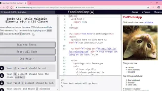 Learn Basic CSS Style Multiple Elements with a CSS Class freeCodeCamp
