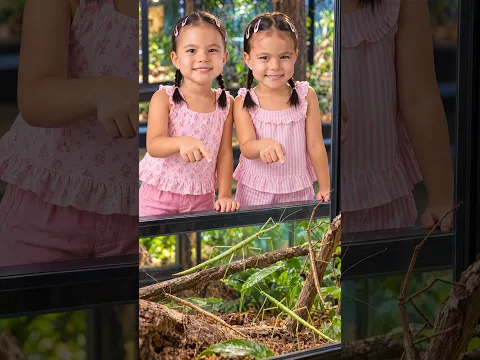 Wait... Those Sticks Are Moving! | Stick Insects for Kids