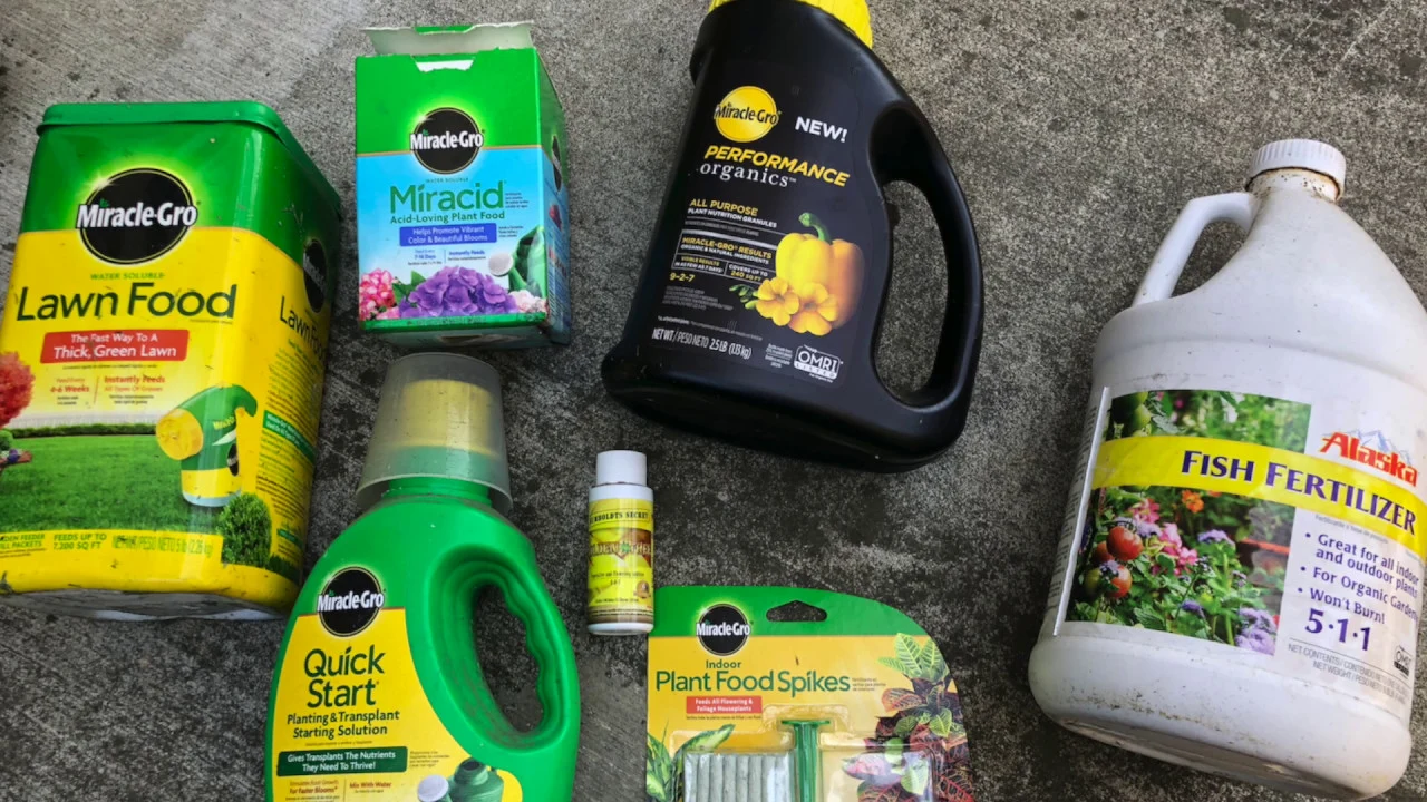 【肥】常用肥料分享 Fertilizer｜湾区小院｜后院种菜