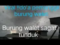 Lagu 🔴Viral kan!! Doa pemanggil burung walet ,lihat lah apa yg terjadi #