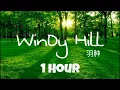 WINDY HILL - NHAC DOC SACH