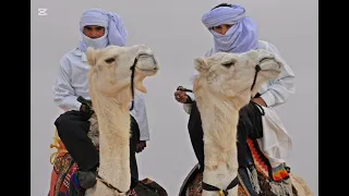 قصة سرقة مدينة الكبرى ملحمة الصعاليك والملك مساعد جديد وحصري لعام2025 وشكرا لكل الأصدقاء Shorts 