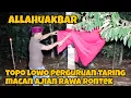 Download Lagu DANG RAJO DATANGI TOPO LOWO PREMAN PERGURUAN TARING MACAN | dang rajo terbaru