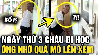 Ngày thứ 3 CHÁU ĐI NHÀ TRẺ, ông không ngủ được trư nắng MÒ LÊN TẬN LỚP nhìn qua cửa sổ | Tin 3 Phút