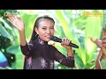 Download Lagu SENGAJA DIUNDANG  -  SESHIN  -  NAELA NADA LIVE DESA KALIMEANG BLOK PANCAR TANGGAL 9 JULI 2023