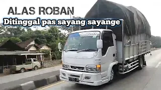 Download DJ DI TINGGAL PAS SAYANG SAYANGE versi TRUCK TAMPAN INDONESIA MP3