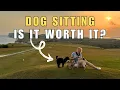 Dog Sitting - Is it worth it How much can you earn Rover Tailster Trusted House Sitters