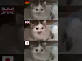 Download Lagu Angry German cat meme but in different countries #shorts