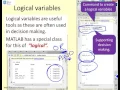 Matlab Basics 5 - variable types
