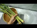 Download Lagu CARA Masak LOMPONG biar tidak gatal
