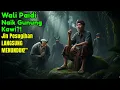 Download Lagu Wali Paidi Datangi Gunung Kawi! Jin Jin Pesugihan Langsung Gemetar Ketakutan…