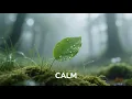 Download Lagu Best Calm Music || Relaxing for Stress Relief 2 || REMEMBERED