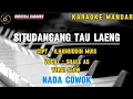 Download Lagu Situdangang tau laeng-karaoke versi slow nada cowok