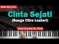 Download Lagu BCL - Cinta Sejati Karaoke Piano Male Key/Pria
