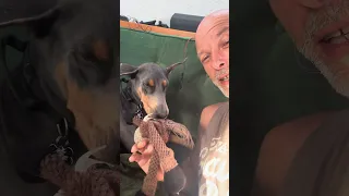 GOOD MORNING.. #sailing #boatlife #petsofyoutube #travel