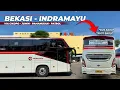 Download Lagu NEW ROUTE FOR JABAR RESIDENTS - PRIMAJASA BUS FROM BEKASI TO INDRAMAYU
