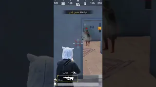 ٢٦ أيار ٢٠٢٥ 