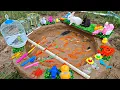 Mancing ikan mas, ikan lele, ikan hias, ikan cupang, lobster, kelinci, burung, bebek, angsa.part408