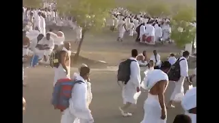 يا طيبة جئتك صبا لرسول الله محبا دندنها