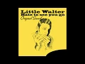 Little Walter - Roller Coaster