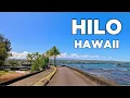 Driving Through Hilo Hawaii Scenic Tour of the Big Island in 4K