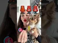 Download Lagu Playing in TIK TOK VOICE WITH MY PUPPY😹😹😹