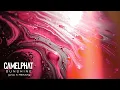 Camelphat - Sunshine (Liva K Remix)