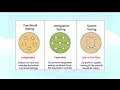 Types of Software Testing Unit Integration and System Testing QualityTestCraft Part-2